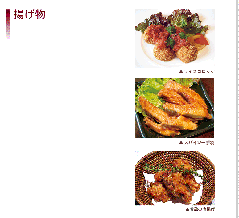 河東 アラカルト 揚げ物